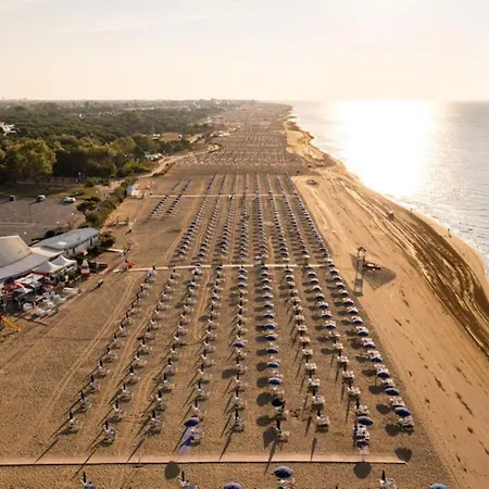 Relaxing With Terrace